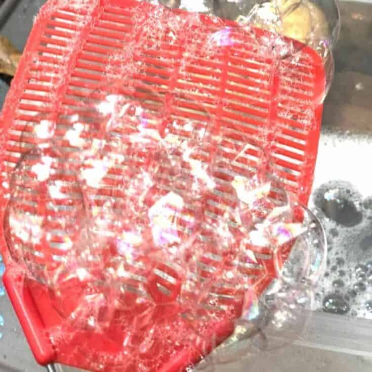 Fly Swatter Bubbles