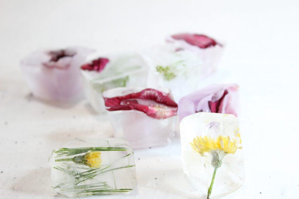 lots of ice cubes with nature items on table