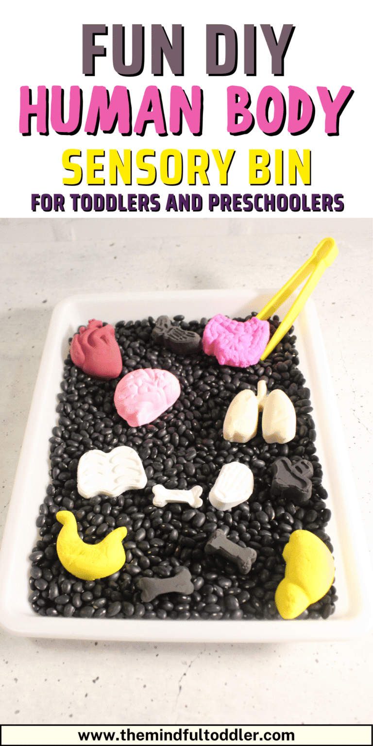 Easy Human Body Sensory Bin For Toddlers and Preschoolers