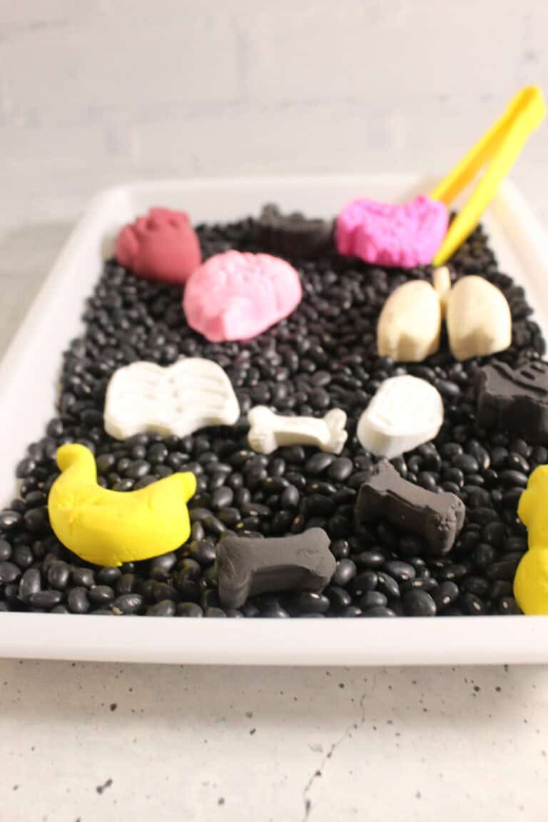 Easy Human Body Sensory Bin For Toddlers and Preschoolers