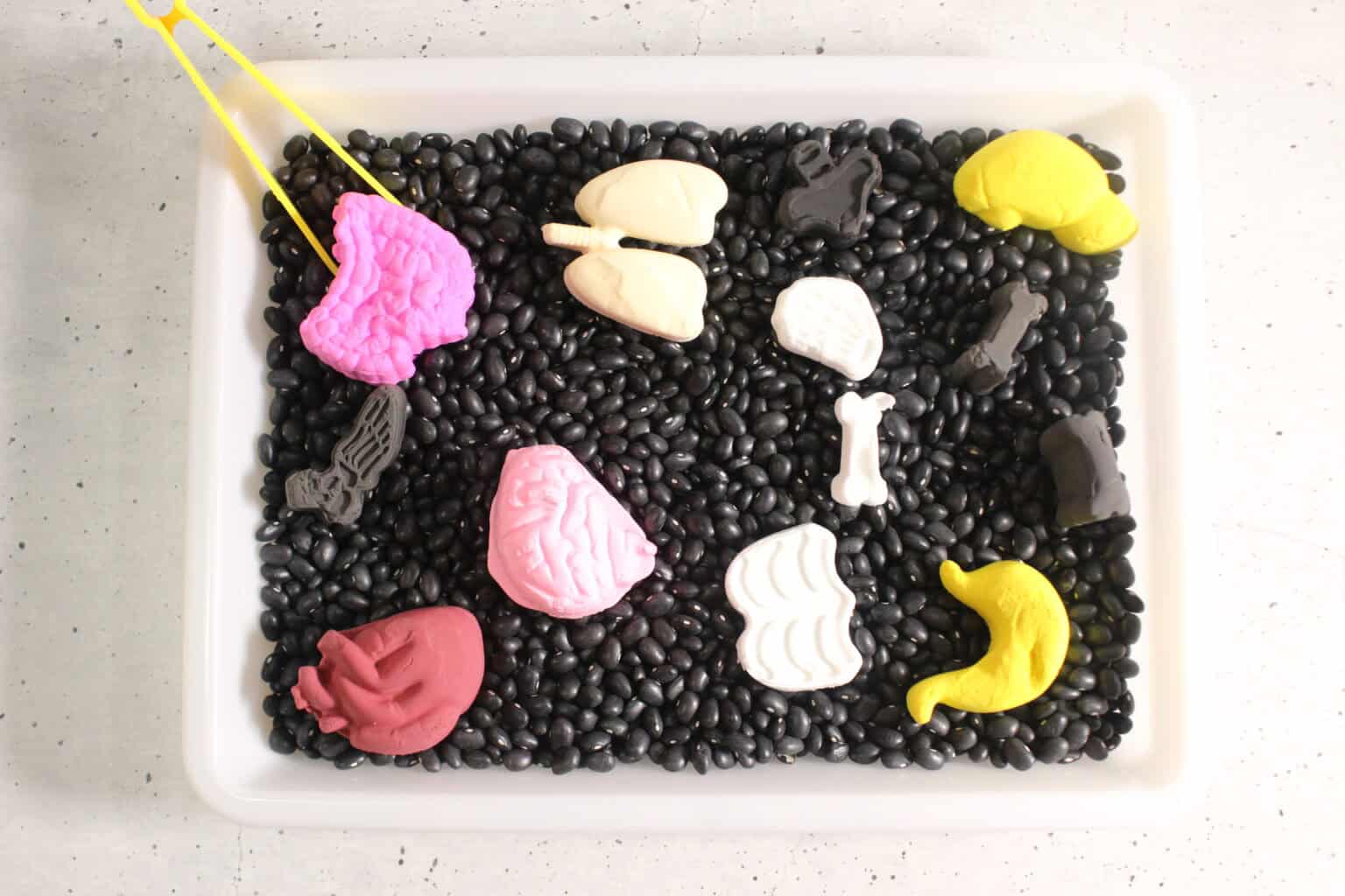 Easy Human Body Sensory Bin For Toddlers and Preschoolers