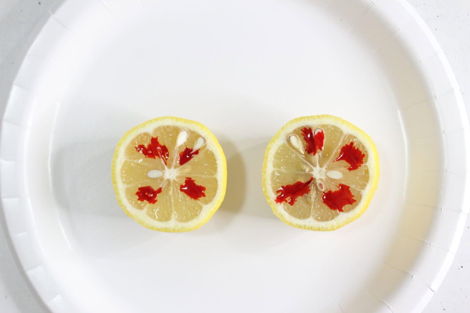 Fun and Easy Lemon Volcanoes Science Experiments For Kids